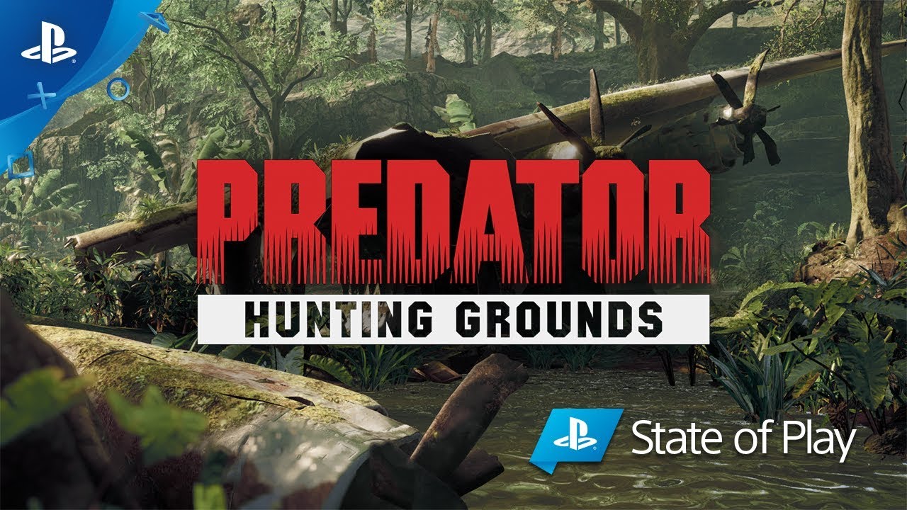 Predator hunting grounds можно ли играть одному